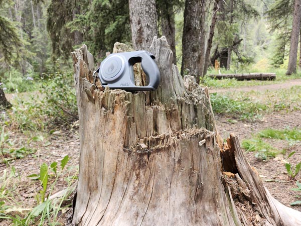 LED light ring helps you see clearly during evening dog walks