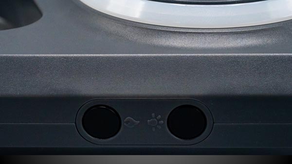 RGB lighting adds safety and style to nighttime dog walks