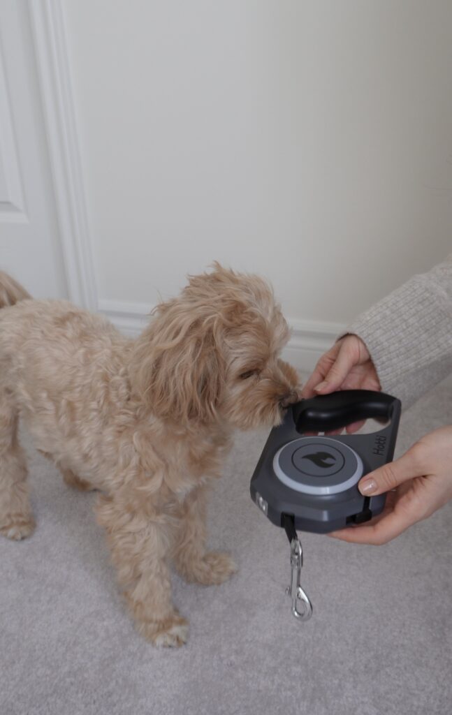 Image #1 from Kristina